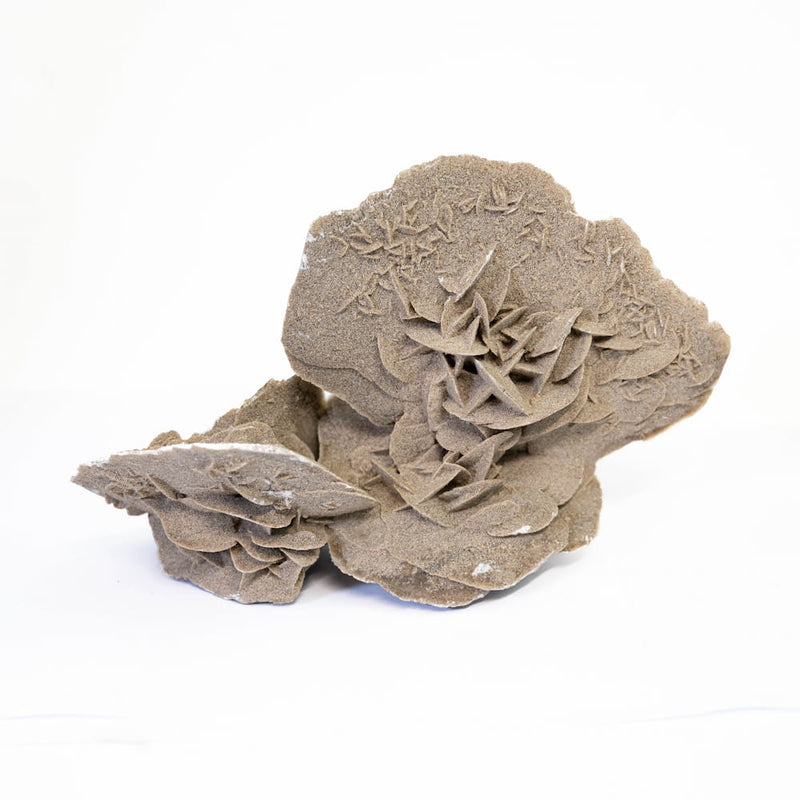 Desert Rose