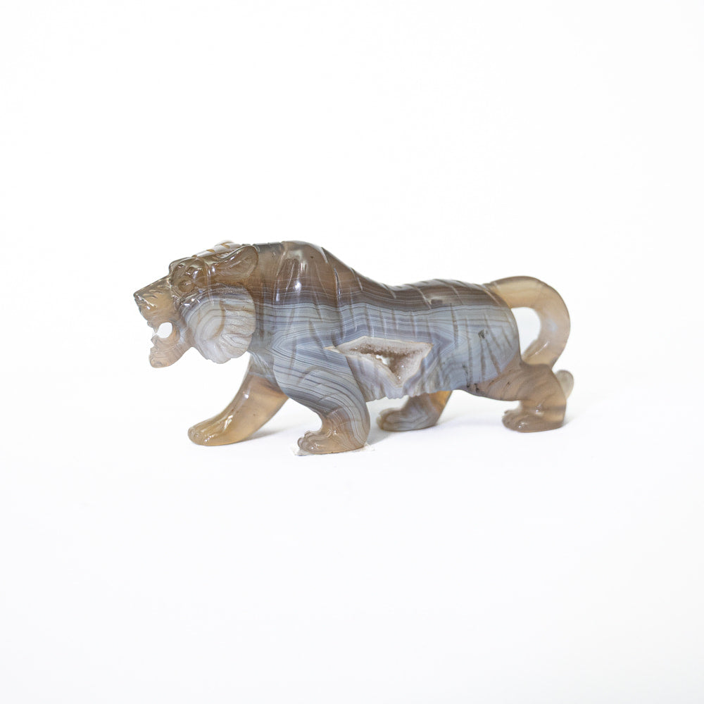 Agate Tiger