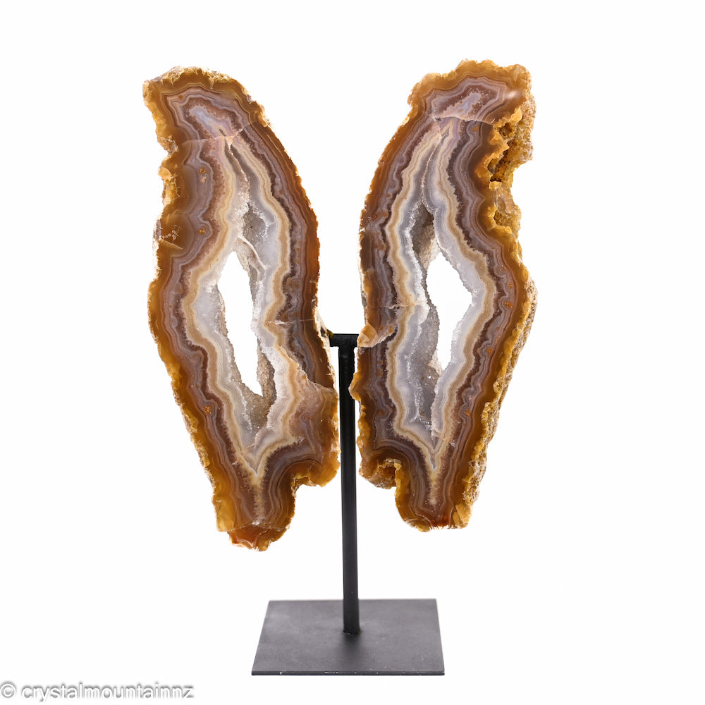 Agate Wings