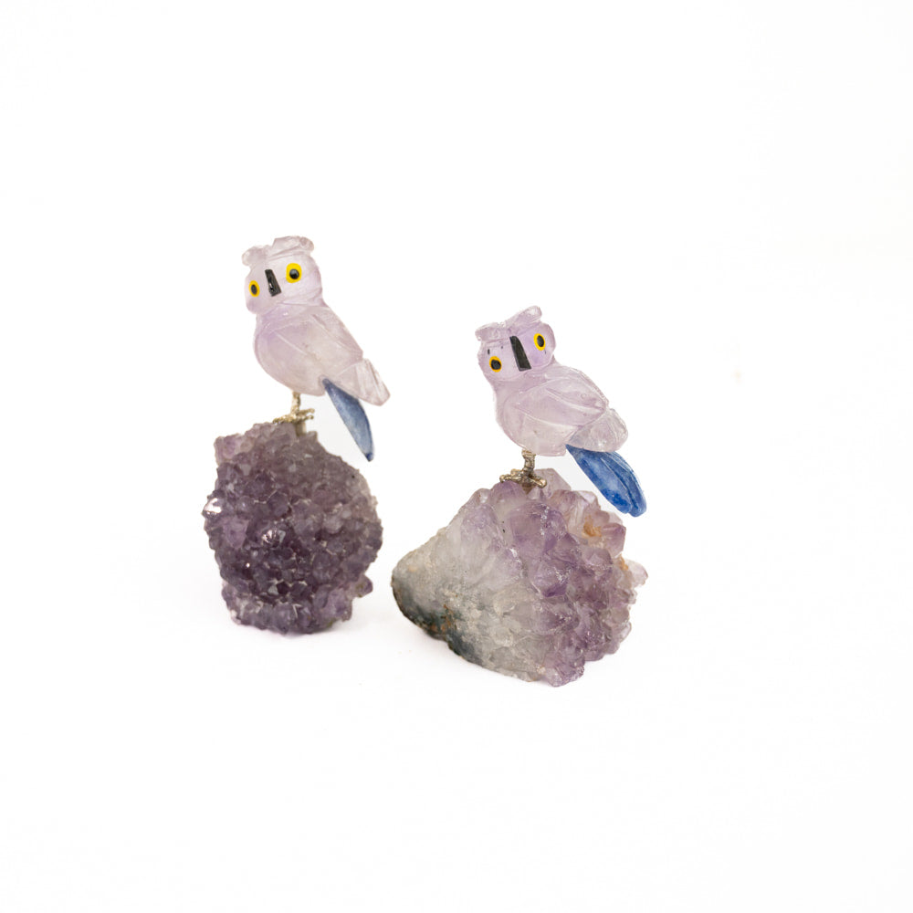 Amethyst Owl on Druze