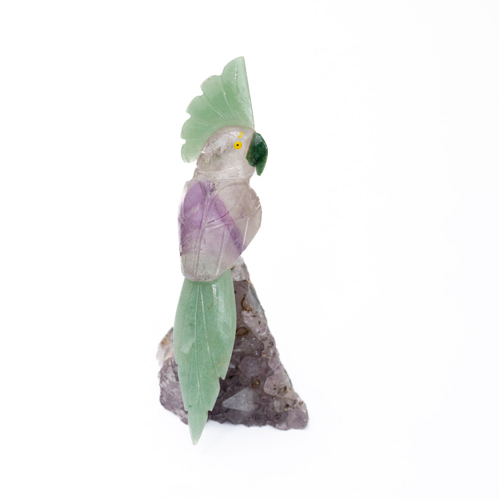 Amethyst parrot
