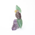 Amethyst parrot