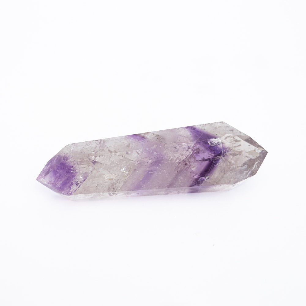 Amethyst Phantom Vogel