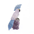 Amethyst parrot