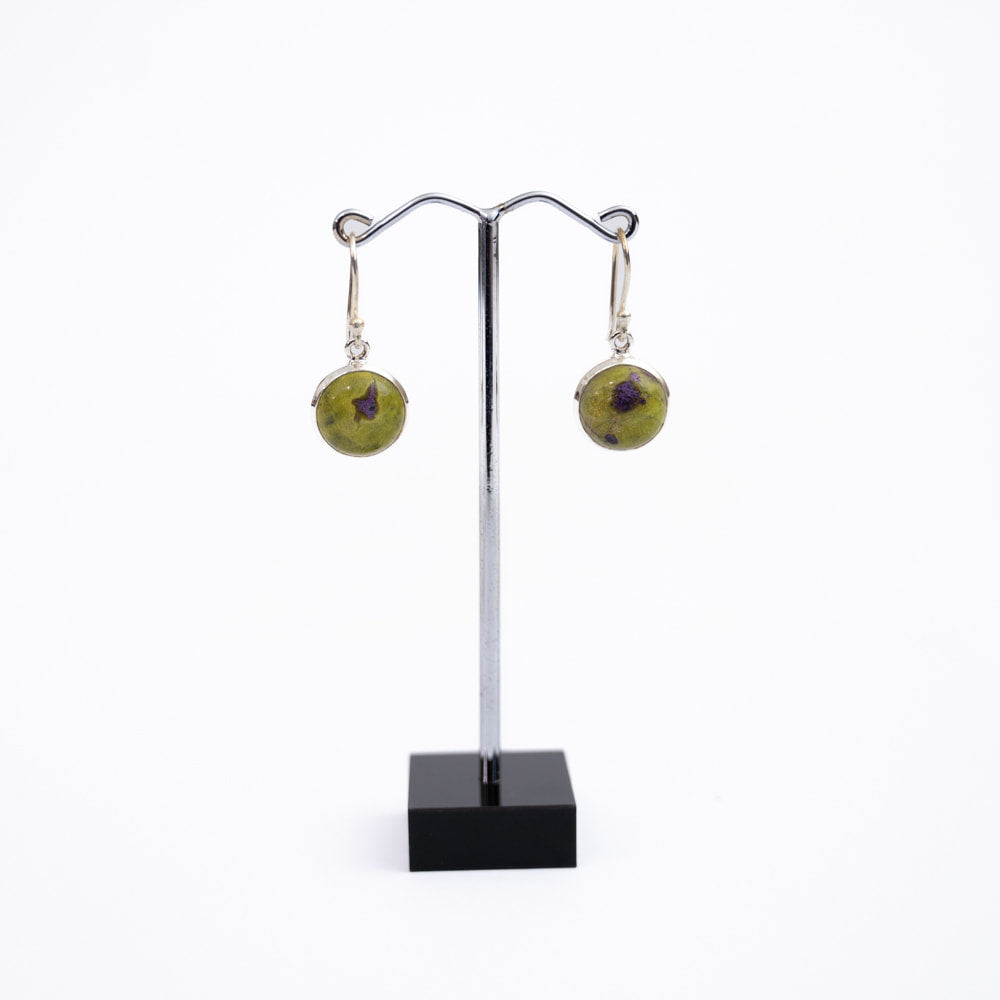 Serpentine & Stichtite (Atlantisite) Silver Earrings
