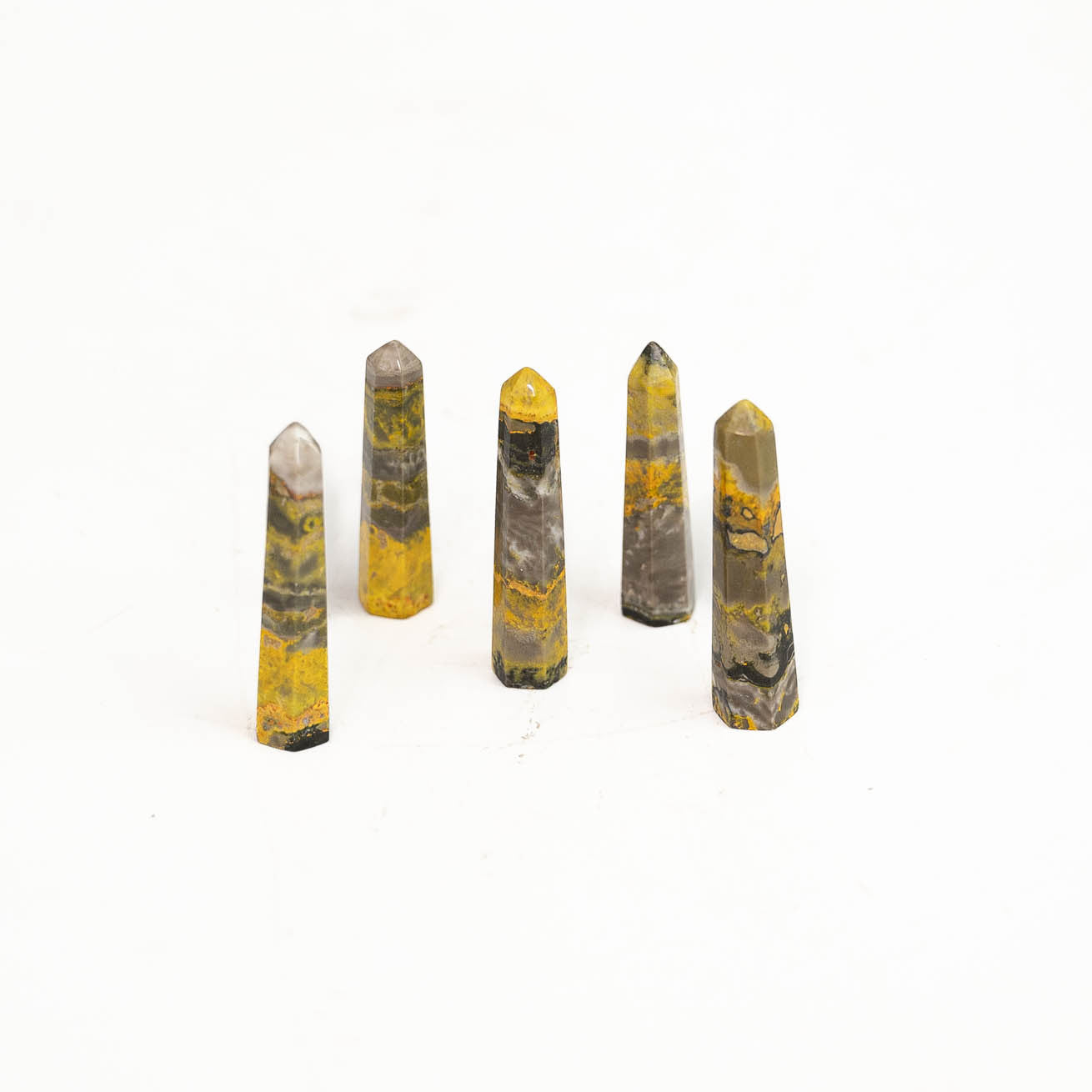 Bumble Bee Jasper Point