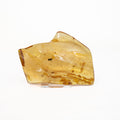 Copal Amber freeform
