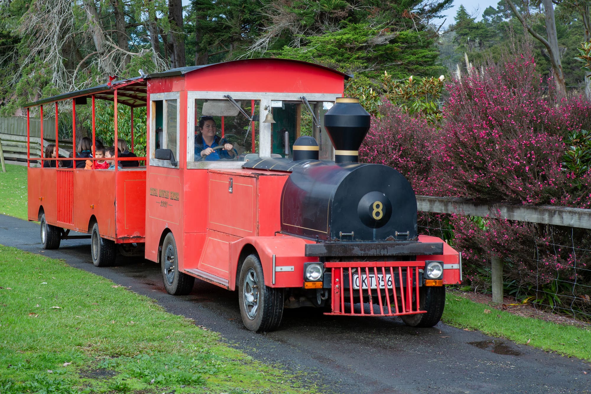 Red train with black engine on a paved path surrounded by greenery