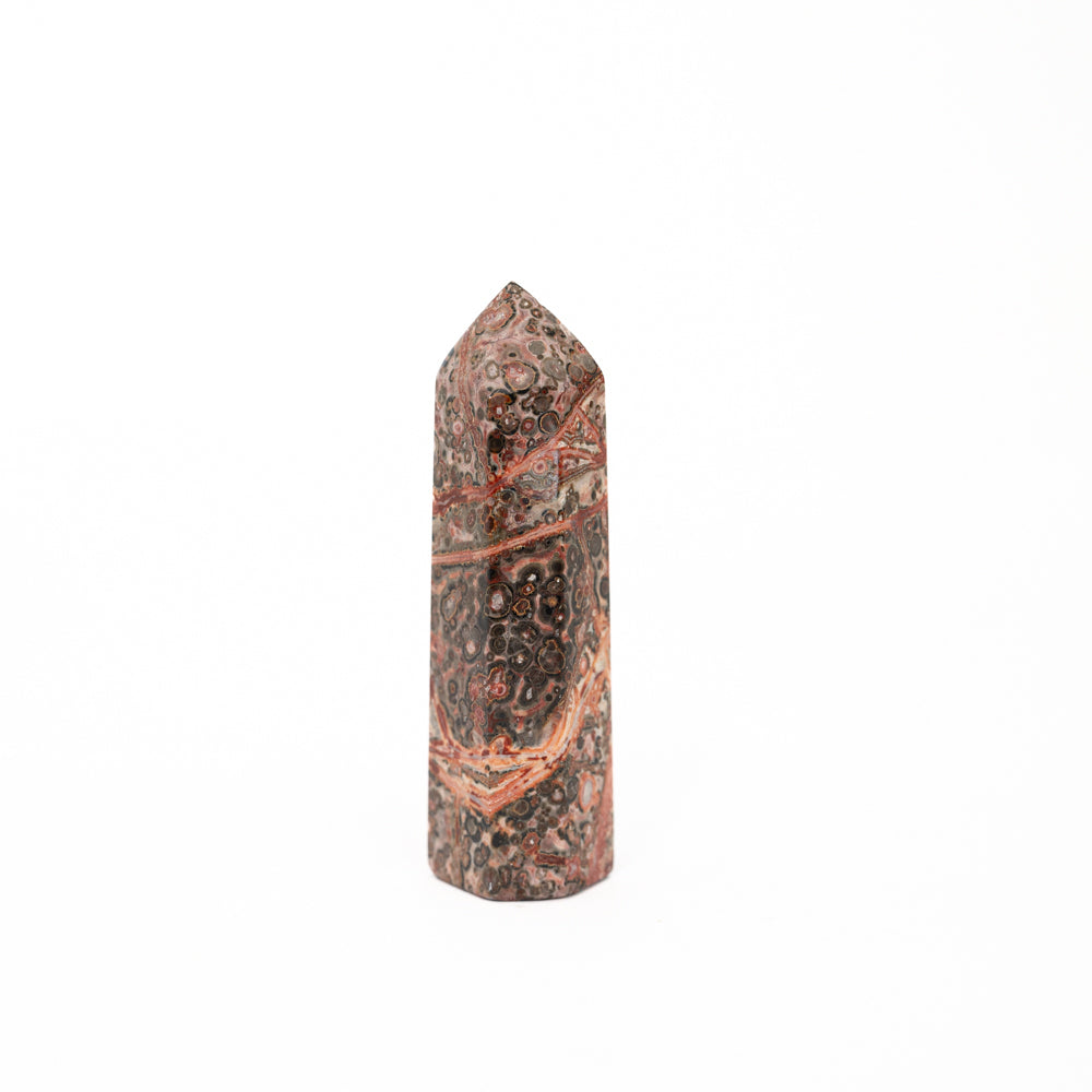 Leopard Skin Jasper Point