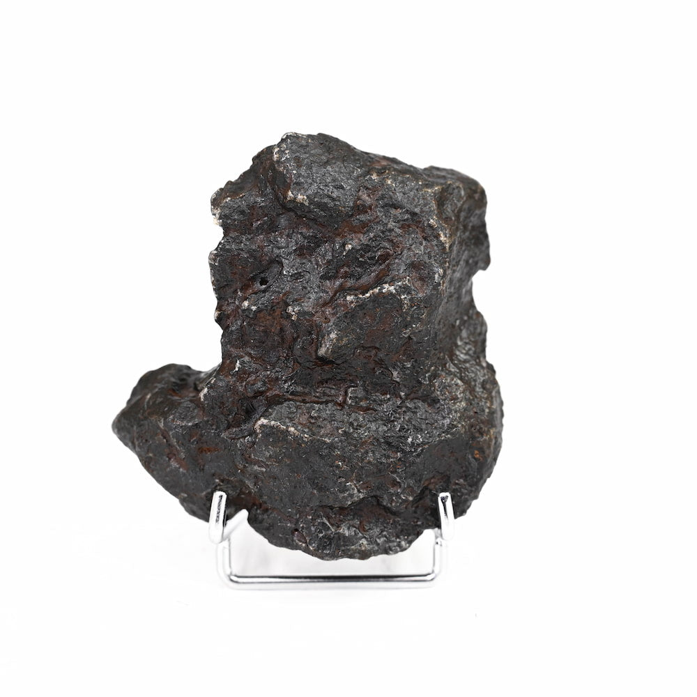 Meteorite Specimen- Large