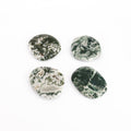 Moss Agate Palm Stone