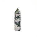 Moss Agate Point