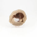 Agate Slice With Design- Kiwi