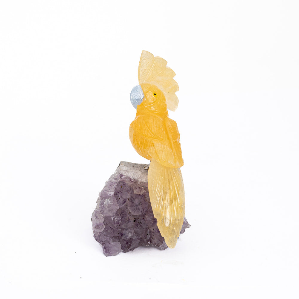 Calcite parrot