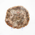 Petrified Wood Slab