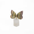 Rainbow Fluorite Butterfly