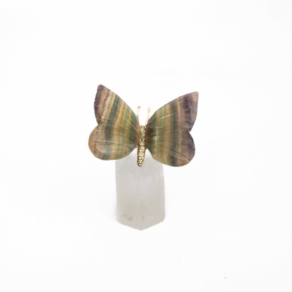 Rainbow Fluorite Butterfly