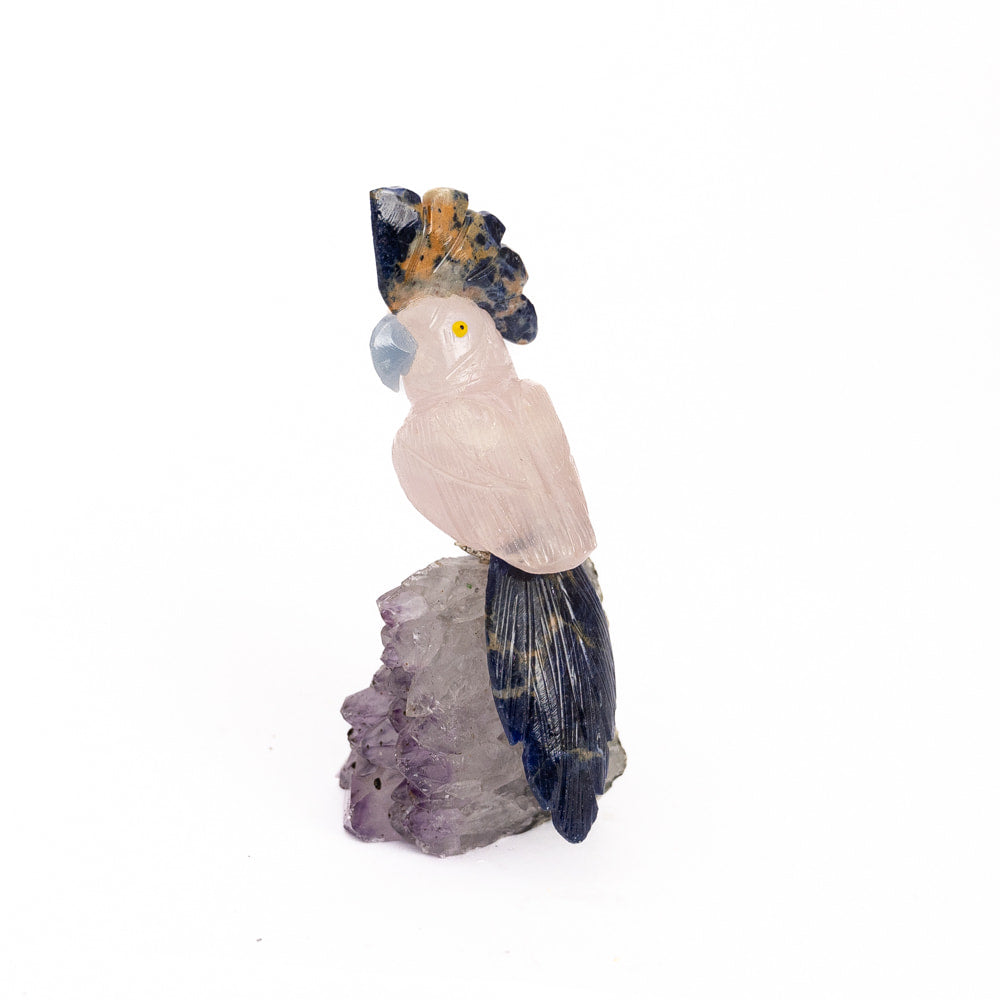 Rose Quartz Parrot