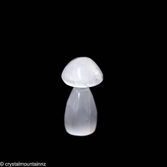 Polished Selenite Mushroom