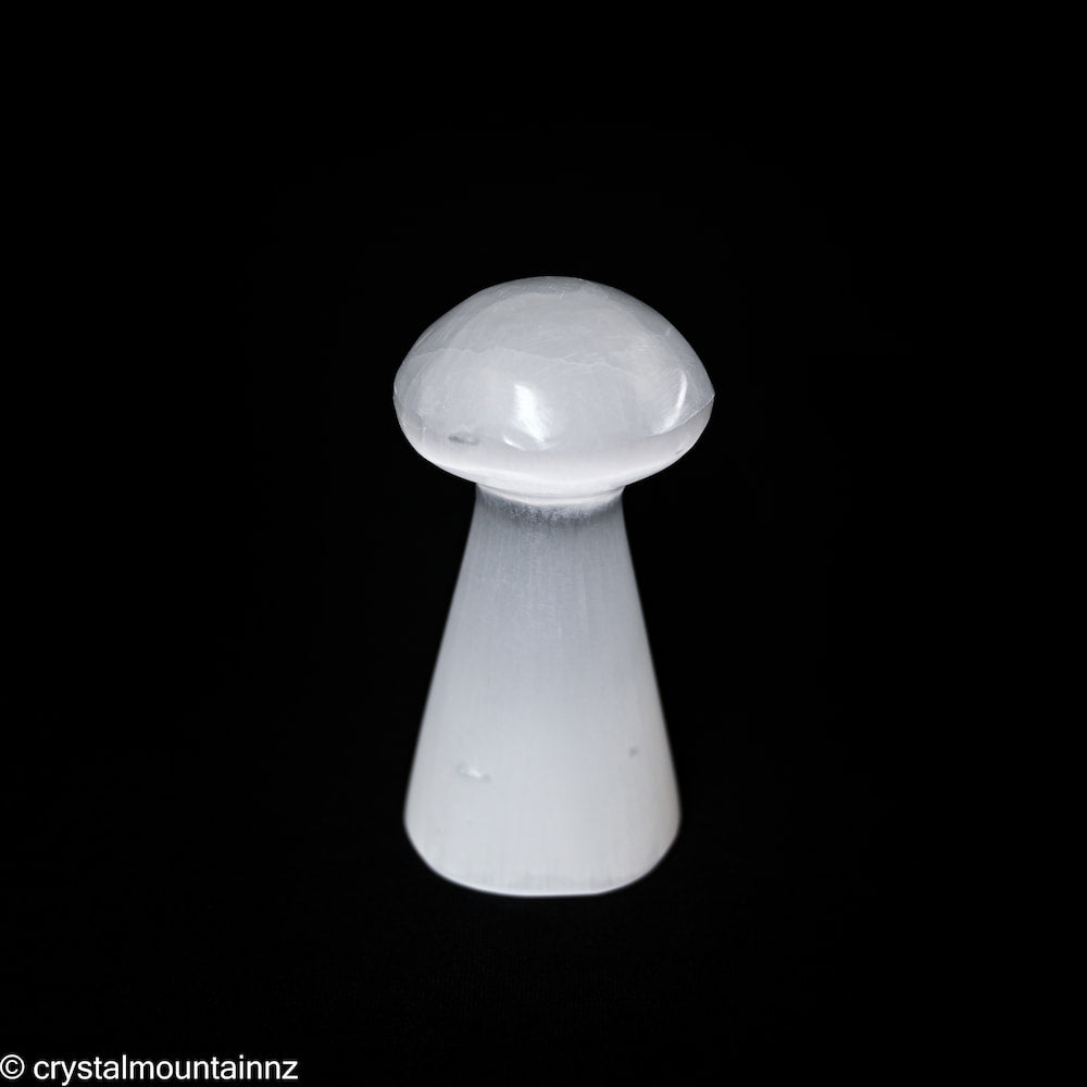 Polished Selenite Mushroom