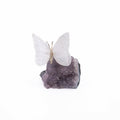 Selenite Butterfly on Druze