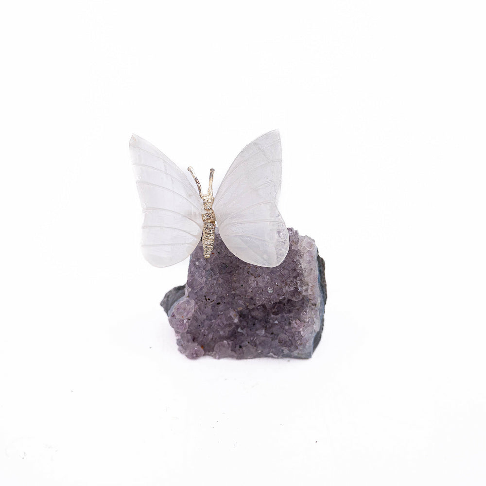Selenite Butterfly on Druze