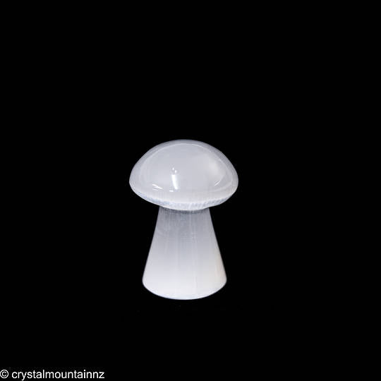 Polished Selenite Mushroom