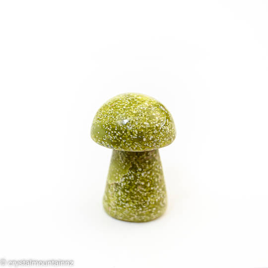 Serpentine Mushroom