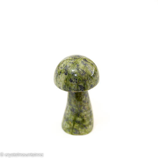Serpentine Mushroom