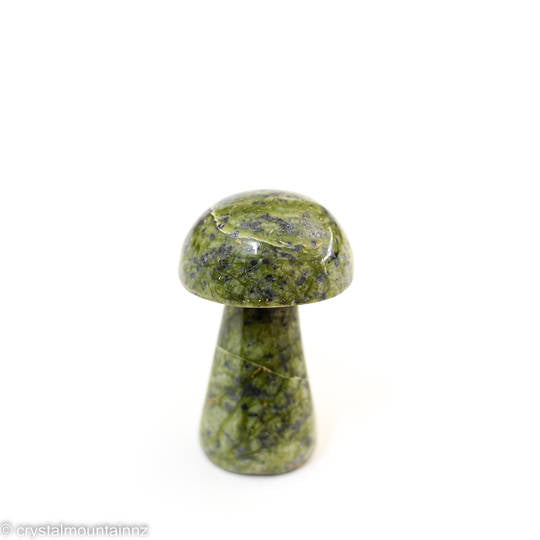 Serpentine Mushroom