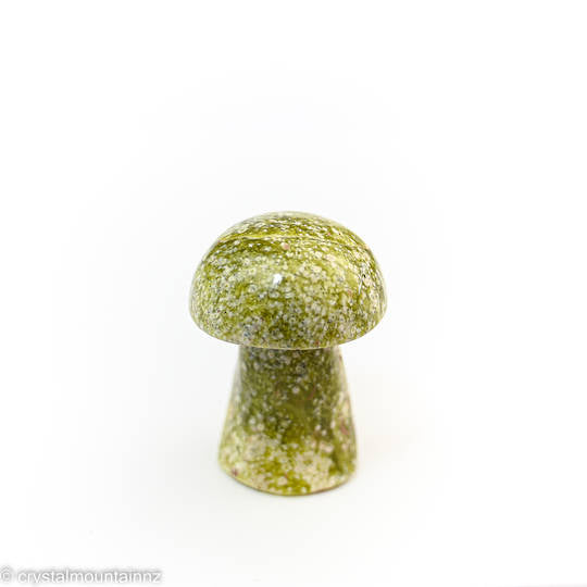 Serpentine Mushroom
