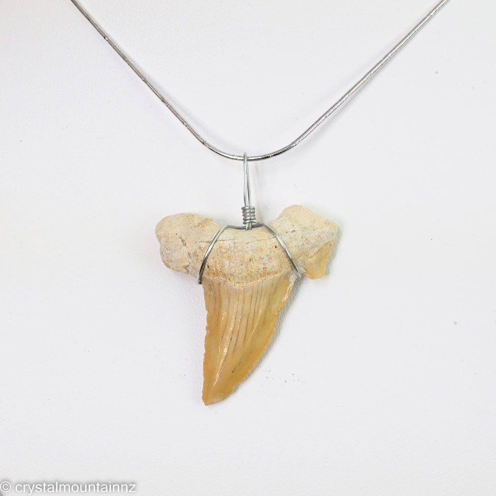 Shark Tooth Pendant
