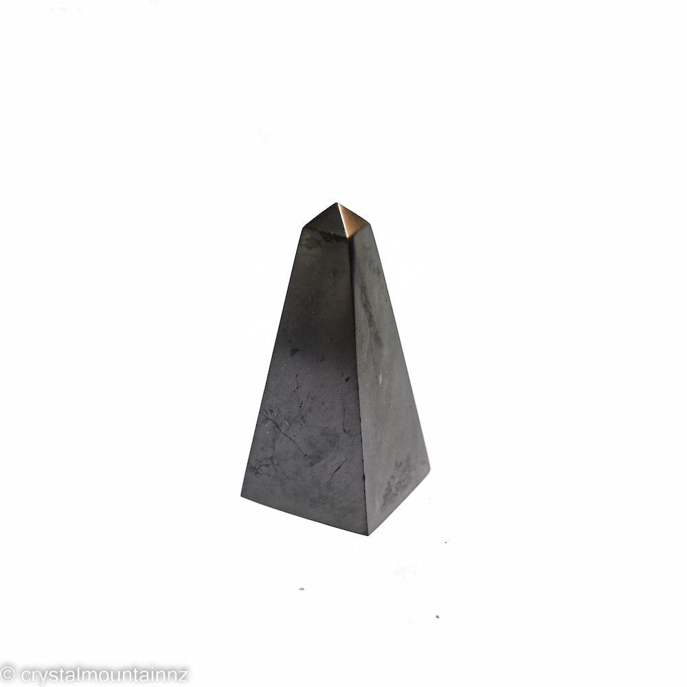 Shungite Polished Point