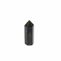 Shungite Polished Point
