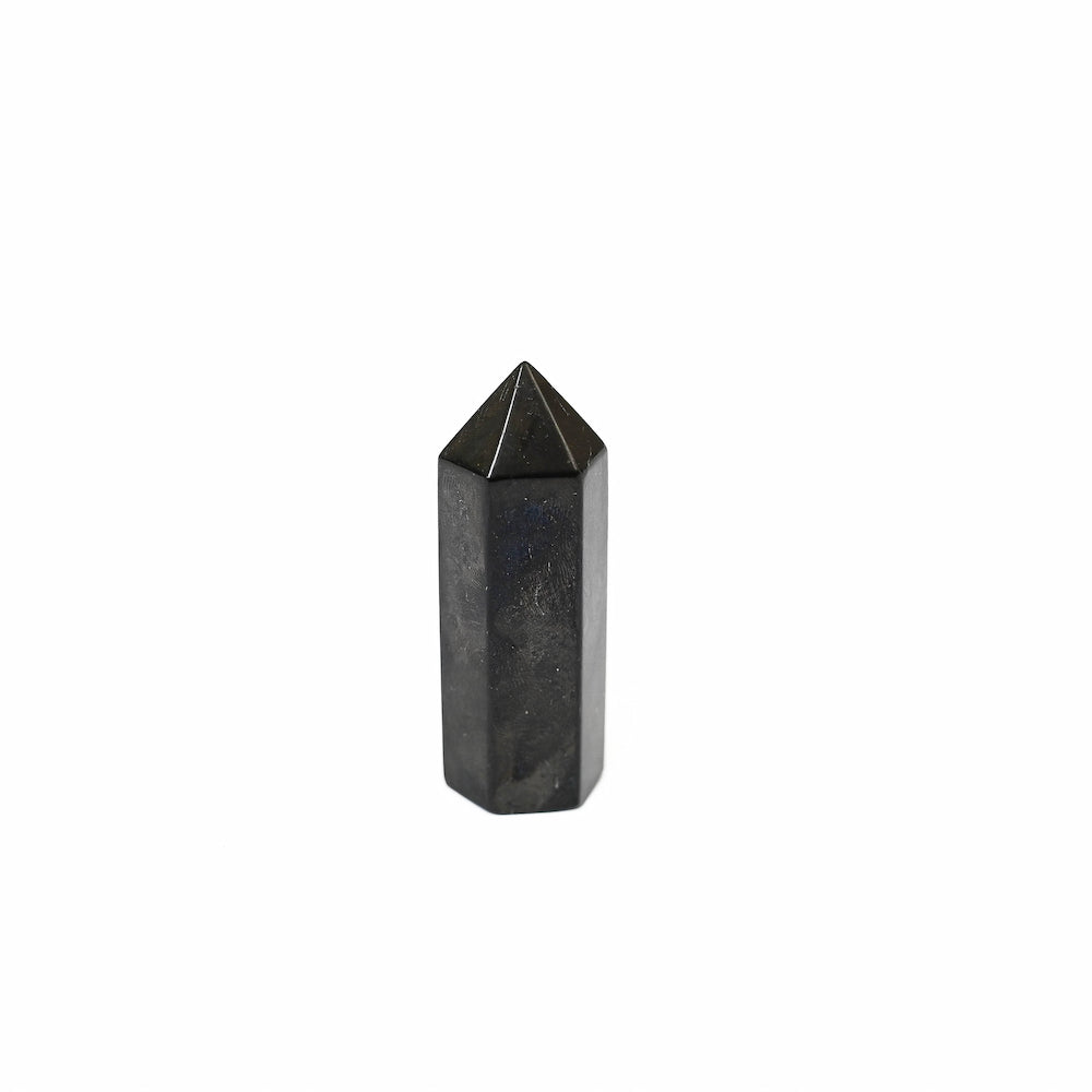 Shungite Polished Point