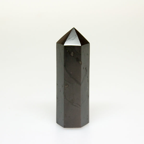 Shungite Point