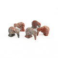 Soapstone Kiwi Small