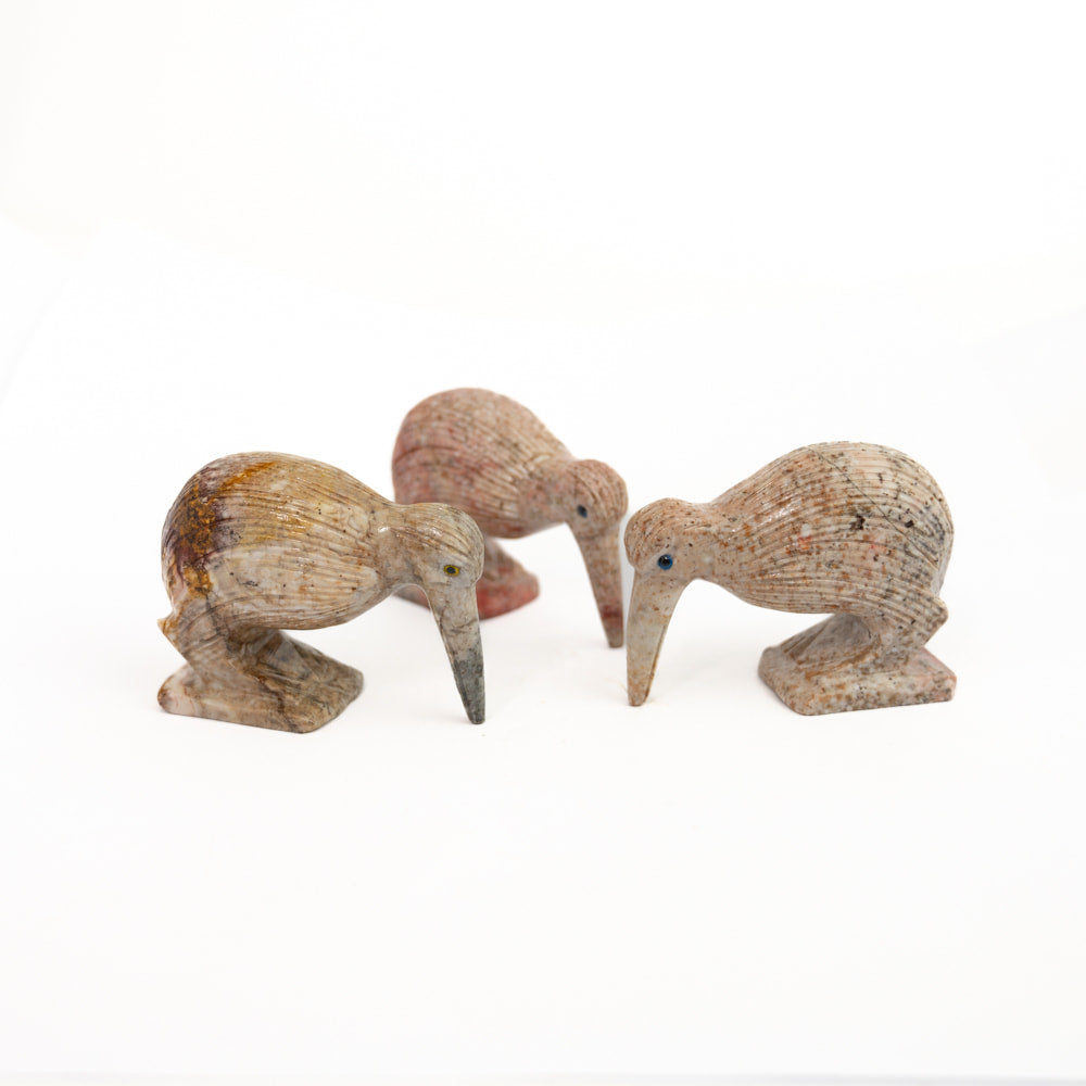 Soapstone Kiwi