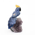 Sodalite Parrot