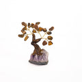 Tigers Eye Tree