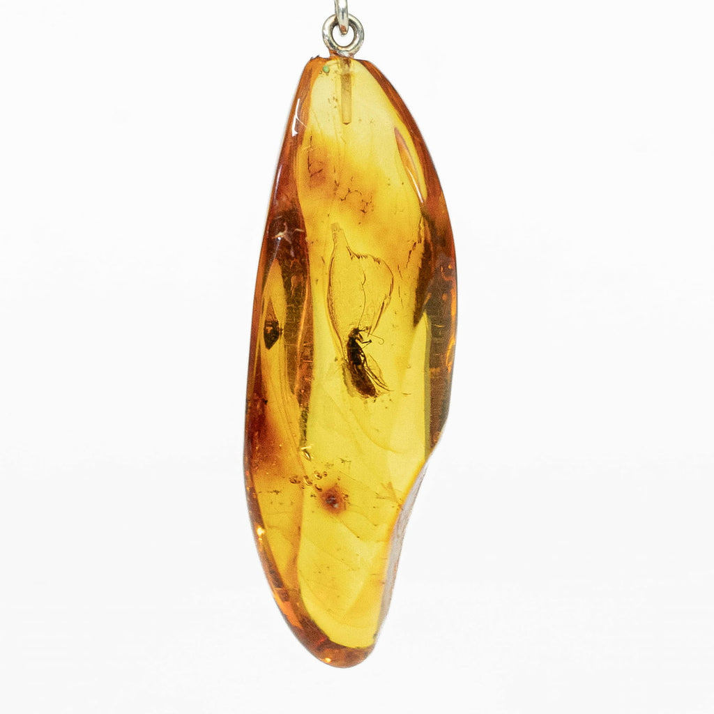 Amber Silver Pendant with Insect Inclusion