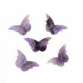Amethyst Butterfly