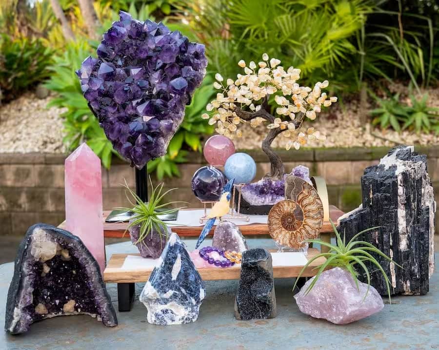A curated collection of natural crystals, gemstones, and mineral specimens displayed on small wooden stands and a stone surface, with a garden background. The collection includes a large purple amethyst cluster, a pink quartz point, a black and white chrysocolla rock, a pink agate, a blue-and-white geode, a spiral ammonite shell, a small artificial bonsai tree, and several air plants.