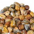 Crazy Lace Agate Tumbled