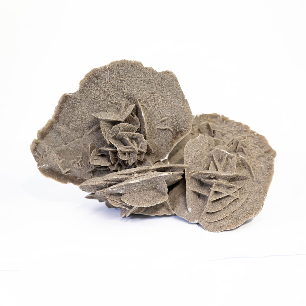 Desert Rose Cluster