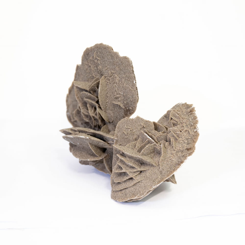Desert Rose Cluster