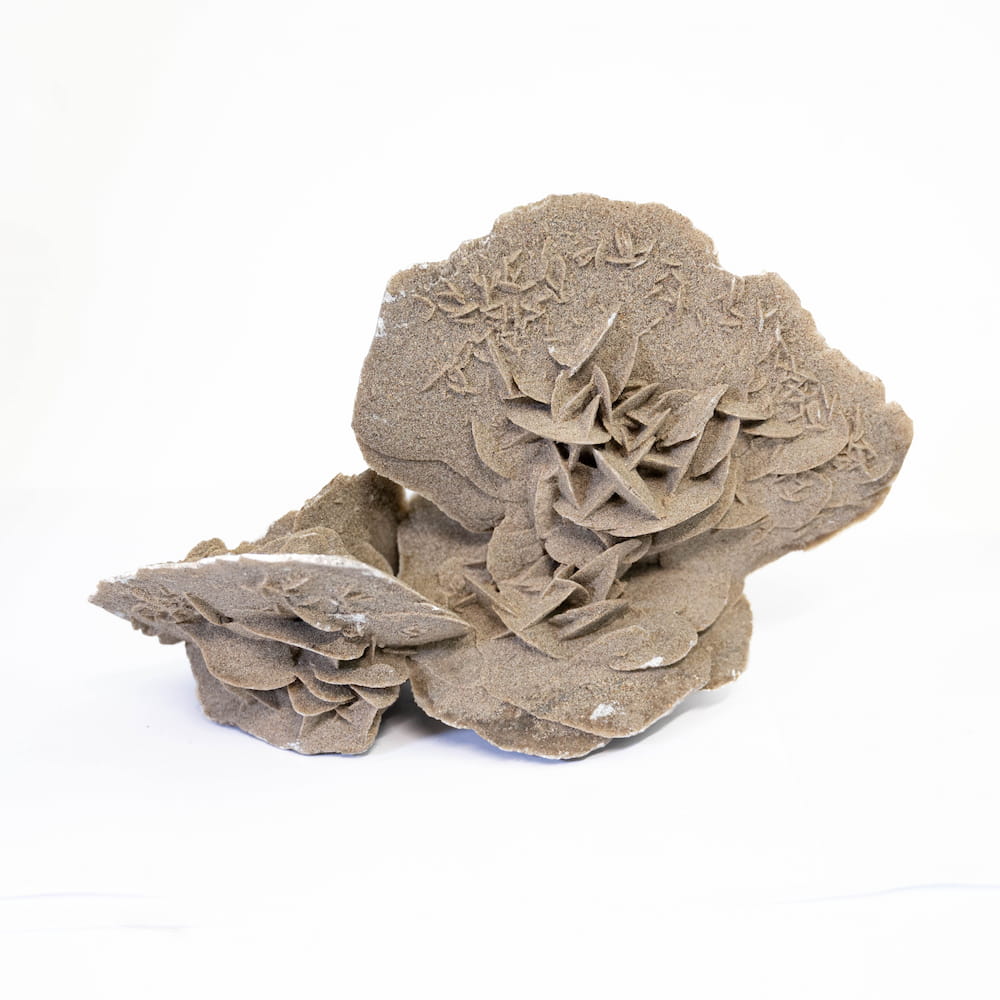 Desert Rose Cluster