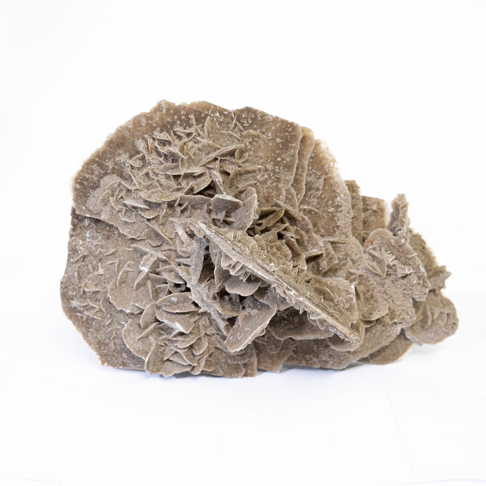 Desert Rose Cluster