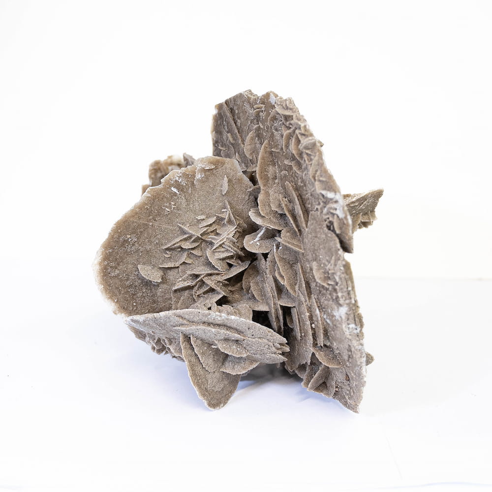 Desert Rose Cluster
