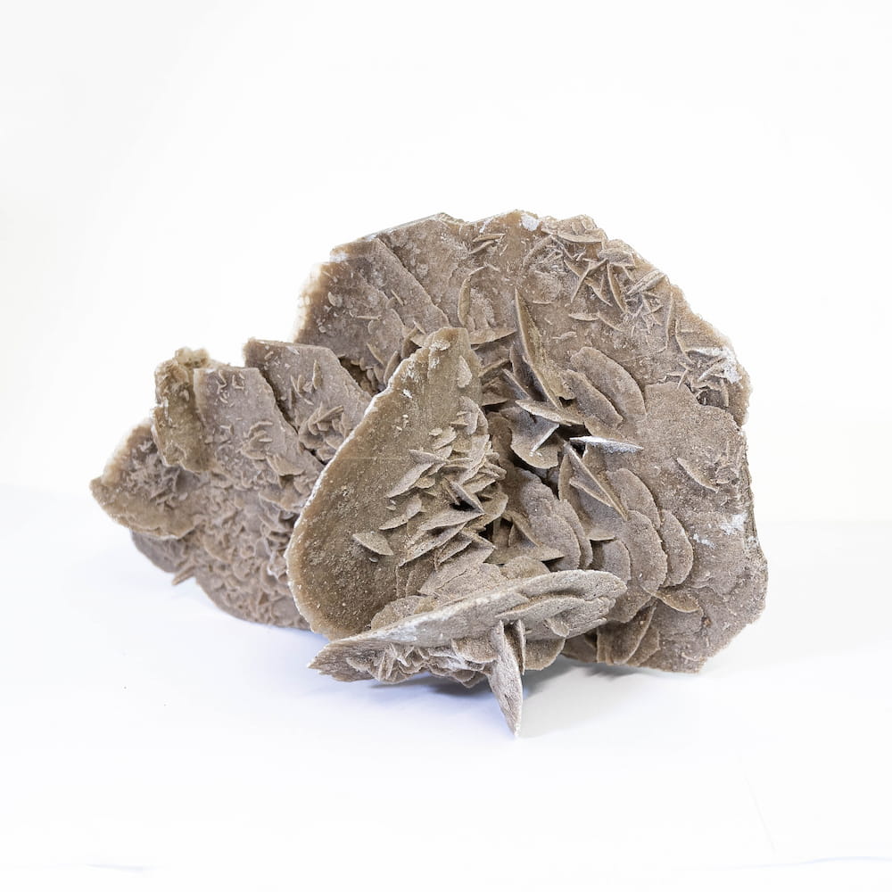 Desert Rose Cluster
